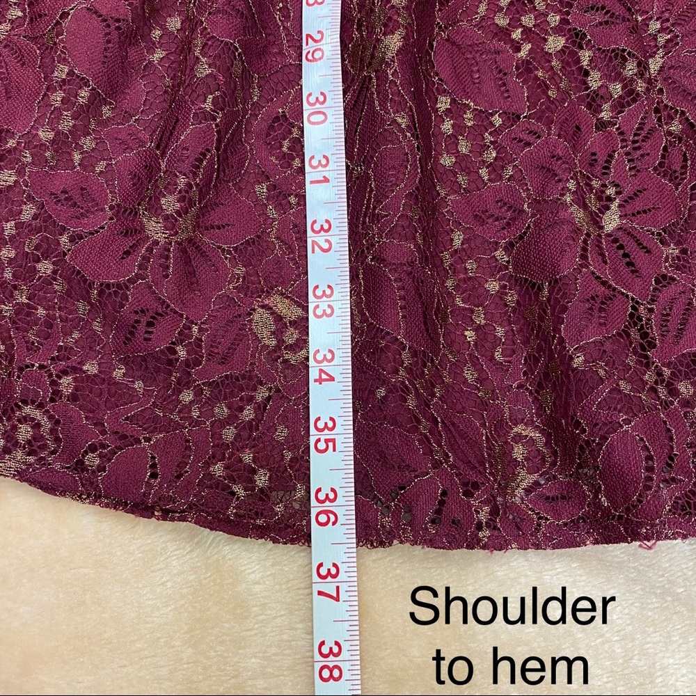 Chelsea28 Red Velvet/Burgundy Metallic Floral Lace Fit & Flare Dress
Size XXS - Picture 12 of 14